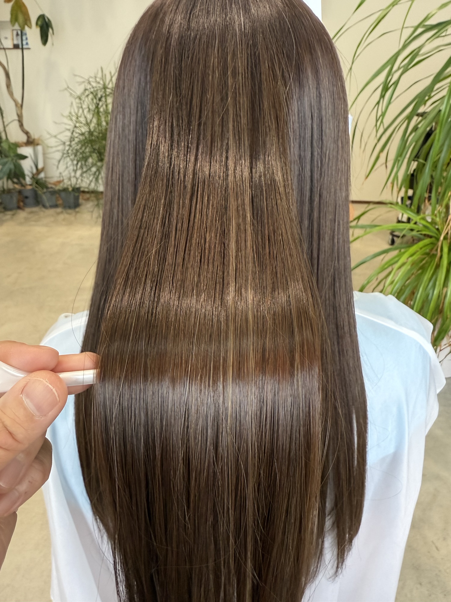 ヘアアルファレイ プレミアム 頭皮ケア、ヘアアルファレイ、美髪、中古